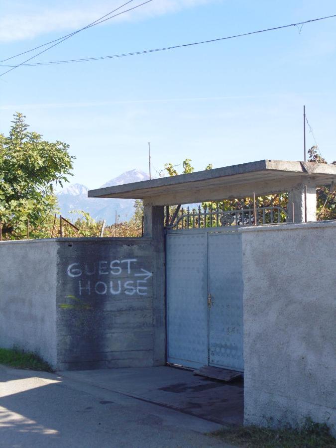 Florians Guesthouse Shkodra Kültér fotó